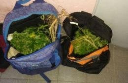 Llevaban más de un kilo de marihuana y terminaron presos
