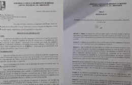 Proyecto tendiente a propiciar el acompañamiento de los pacientes terminales con COVID-19