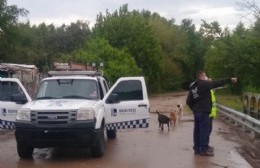 Situación climática en Berisso: Lluvias, vientos y crecida