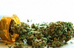 Proyecto para investigar y cultivar cannabis con fines medicinales