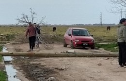 Se cayó un poste de luz y nadie se hace responsable