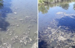 Reclamo vecinal por el agua del canal: “Vivimos bebiendo mierda”