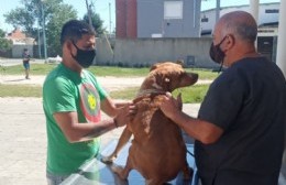 Continúa la atención primaria de mascotas en los barrios