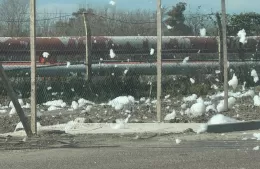 ¿Nevada en Berisso?: vecinos desprevenidos pidieron por “El Eternauta”