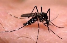 Nuevos casos sospechosos de Covid-19 y dengue