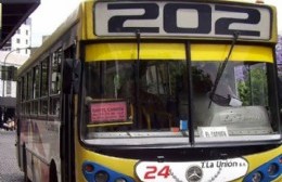 Línea 202: Cuatro casos positivos de coronavirus y 12 en estudio