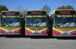 Viernes sin colectivos por paro de la UTA