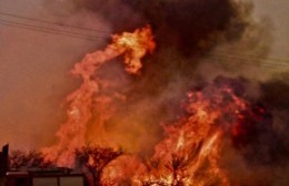 Incendios forestales: “Lo que falta es la conciencia de cierta gente y el apoyo de los políticos de turno”