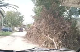 Vecinos denuncian abandono: una calle tapada por ramas desde hace más de dos semanas