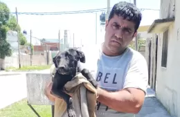 Rescataron a un grupo de animales que eran maltratados por sus dueños