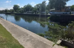Con las cianobacterias en la mira, así amaneció el canal en Berisso