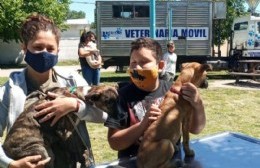 Continúa la atención primaria de mascotas en los barrios