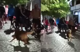 Terror en Berisso: grupo armado invade viviendas y deja heridos en la calle Nueva York