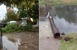 Árboles y postes caídos, voladura de chapas y zonas sin luz