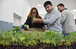 Huertas Bonaerenses: entrega de plantines e insumos a productores locales