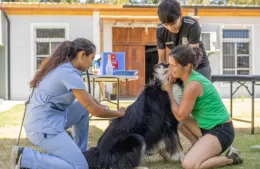 Jornadas Veterinarias durante mayo