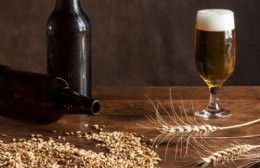 Se aprobó la ordenanza PUPAs: Habilitación que incorpora a “viñateros y cerveceros locales”