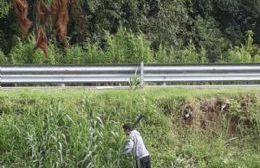 Vecinos se solidarizan con un joven que corta las cañas en la 66