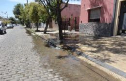 Vecinos preocupados por la rotura de un caño en 9 entre 163 y 164