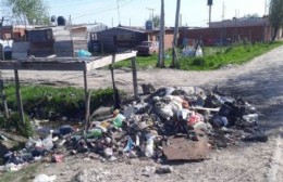 Basural en 26 y 153: "La rata más chica le corre carrera a los caballos"