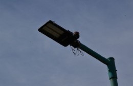 Recambio de luminarias en el predio del ProCreAr Santa Teresita