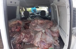 Riesgo sanitario: incautaron 500 kilos de carne de dudosa procedencia