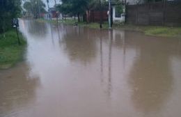Calles anegadas, ramas desprendidas y postes caídos