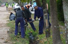 Tareas de mejorado de calle y limpieza integral en el barrio Villa Zula