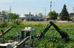 Con una draga anfibia se realiza la limpieza del canal de Avenida Génova