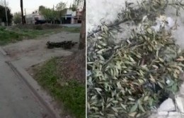 La esquina del olvido y un trabajo a medias en 122 y 82