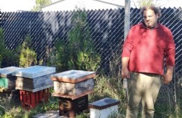 Eduardo Balletto: "El 75 % de los alimentos que se consumen a nivel mundial son polinizados por las abejas"