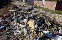 Basural en 165 y 31: Vecinos piden limpieza y un cesto donde arrojar los residuos