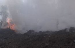 Los bomberos continúan luchando contra el fuego en el basural: Refuerzos desde Ensenada, El Pato y Hudson