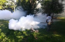 Intensifican las tareas de fumigación