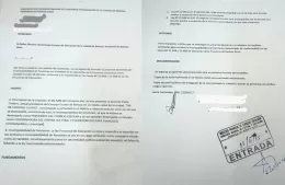 Denuncian por “incompatibilidad de funciones en educación” a la titular del Consejo Escolar