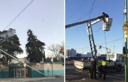 Se cayó un poste en plena Montevideo generando "riesgo excesivo"