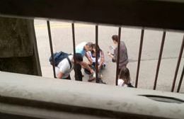 Una joven fue atacada por un perro y se cayó de la moto