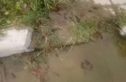 Quejas por un caño roto en calle 24 Este