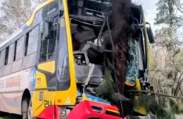 Grave accidente: Un micro de la línea 202 chocó contra un árbol y hay al menos 15 heridos