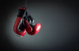 Llega el 6° Festival de Boxeo