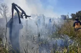 Hasta cinco intervenciones diarias de bomberos por incendios de pastizales
