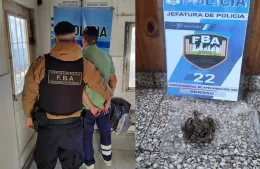 Infracción y aprehensión por posesión de marihuana