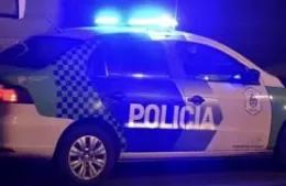 Atacó a golpes y le robó a su ex mientras esperaba el micro