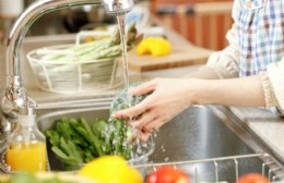 Ccurso oficial para el manejo seguro de alimentos