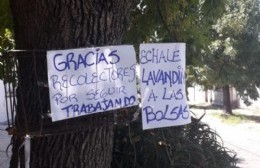 Mensaje a nuestros recolectores: "Gracias por seguir trabajando"