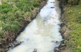 Preocupación vecinal por las condiciones de insalubridad en el canal de la 66