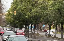 Complicaciones en el tránsito hacia Berisso por accidente en 124 y 60