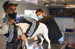 Por caso de Covid, el servicio municipal de Veterinaria permanecerá sin atención