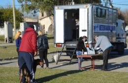 El impacto de la veterinaria móvil: “A veces la situación sobrepasa porque es mucha la demanda”