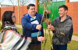 El Municipio y la Escuela Especial N° 501 realizaron una plantación de árboles